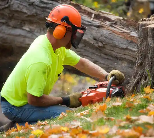 tree services St. Helen